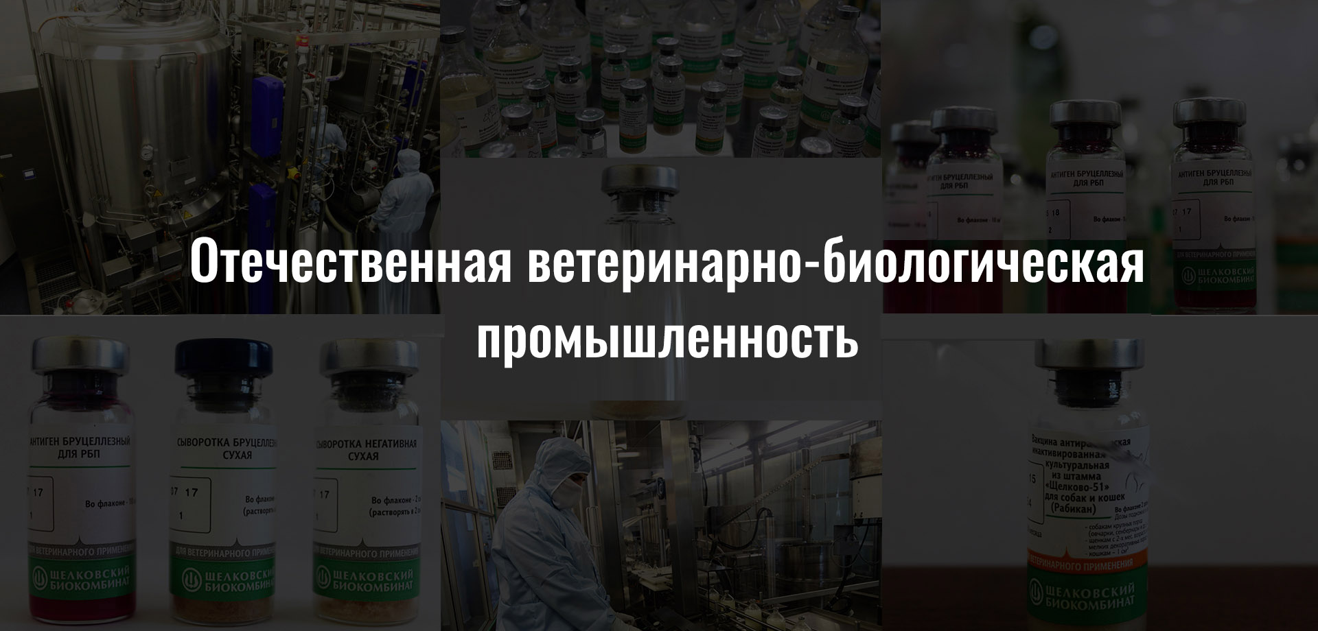 С Днем России! 